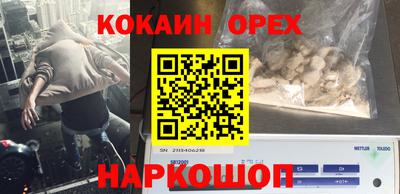 амф Обь